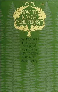 How to Know the Ferns
