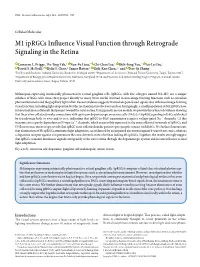 M1 Iprgcs Influence Visual Function Through Retrograde Signaling in the Retina