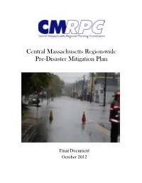 Pre Disaster Mitigation