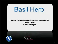 Basil Herb Presentation