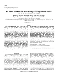 The Cellular Response to Heat Stress in the Goby Gillichthys Mirabilis: a Cdna Microarray and Protein-Level Analysis Bradley A