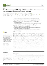 Metabolomics by UHPLC-Q-TOF Reveals Host Tree-Dependent Phytochemical Variation in Viscum Album L