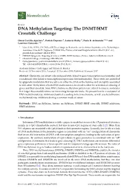 DNA Methylation Targeting: the DNMT/HMT Crosstalk Challenge