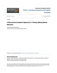 A Neuroscience-Inspired Approach to Training Spiking Neural Networks