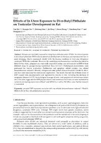 Effects of in Utero Exposure to Di-N-Butyl Phthalate on Testicular