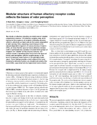 Modular Structure of Human Olfactory Receptor Codes Reflects the Bases Of