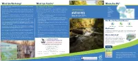 Watershed Steward! Making Small Changes in Our Everyday Lives Can Go a Long Way for the Environment