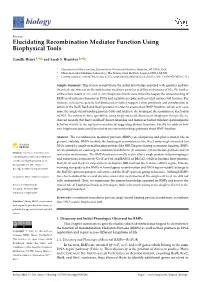 Elucidating Recombination Mediator Function Using Biophysical Tools