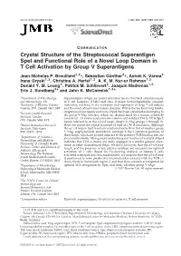 Crystal Structure of the Streptococcal Superantigen Spei and Functional Role of a Novel Loop Domain in T Cell Activation by Group V Superantigens