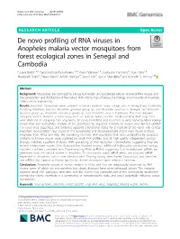 De Novo Profiling of RNA Viruses in Anopheles