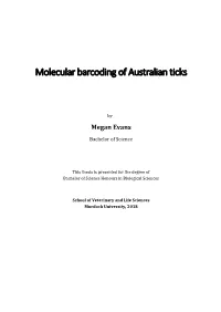 Molecular Barcoding of Australian Ticks