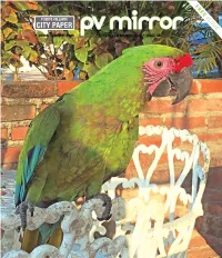 Pvmcitypaper.Com