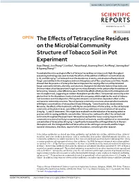 The Effects of Tetracycline Residues on the Microbial Community Structure of Tobacco Soil in Pot Experiment