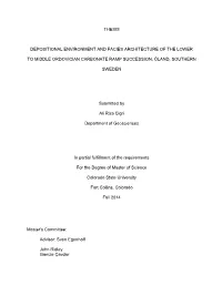 Thesis Depositional Environment and Facies