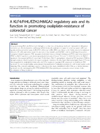 A KLF4/Pihl/EZH2/HMGA2 Regulatory Axis and Its Function in Promoting