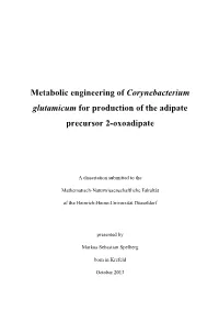 Metabolic Engineering of Corynebacterium Glutamicum for Production of the Adipate