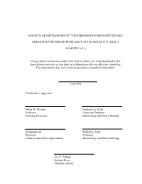 Molecular Mechanisms of Cytochrome P450 Monooxygenase