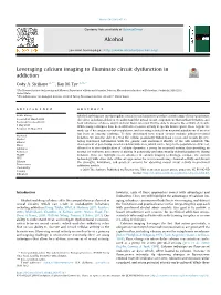 Calcium Imaging to Illuminate Circuit Dysfunction in Addiction