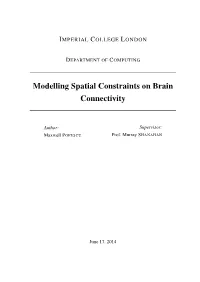 Modelling Spatial Constraints on Brain Connectivity