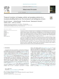 Temporal Variation in Foraging Activity and Grouping Patterns in a Mountain-Dwelling Herbivore Environmental and Endogenous