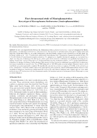 Karyotype of Karoophasma Biedouwense (Austrophasmatidae)