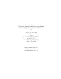 The Prosthetic Imagination: Meditations on Virtual Space and Experience in Single Player Computer Role Playing Games By