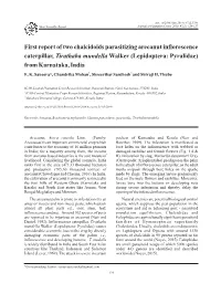 First Report of Two Chalcidoids Parasitizing Arecanut Inflorescence and Characterize the Indigenous Parasitoid Complex from a Single Pupa, 4 to 7 Numbers of E