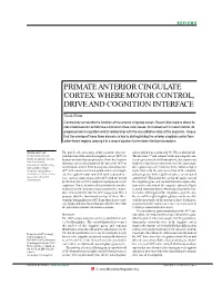 Primate Anterior Cingulate Cortex: Where Motor Control Drive And