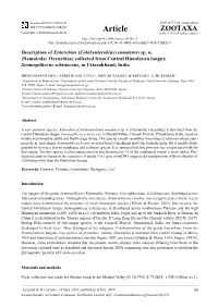Description of Enterobius (Colobenterobius) Emodensis Sp. N