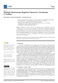 Multiple Mechanisms Regulate Eukaryotic Cytochrome C Oxidase