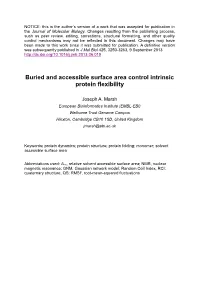 Buried and Accessible Surface Area Control Intrinsic Protein Flexibility