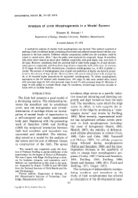 Of Limb Morphogenesis in a Model System