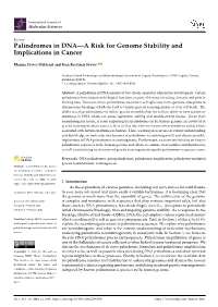 Palindromes in DNA—A Risk for Genome Stability and Implications in Cancer