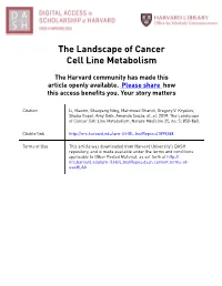 The Landscape of Cancer Cell Line Metabolism