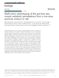 Multi-Omics Phenotyping of the Gut-Liver Axis Reveals Metabolic Perturbations from a Low-Dose Pesticide Mixture in Rats