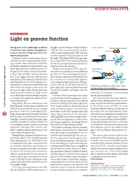 Light on Genome Function