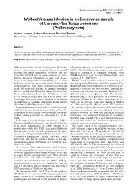 Wolbachia Superinfection in an Ecuadorian Sample of the Sand-Flea Tunga Penetrans (Preliminary Note)