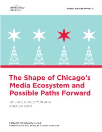 The Shape of Chicago's Media Ecosystem and Possible Paths
