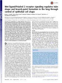 Wnt Ligand/Frizzled 2 Receptor Signaling Regulates Tube Shape and Branch-Point Formation in the Lung Through Control of Epithelial Cell Shape
