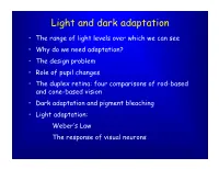 Light and Dark Adaptation
