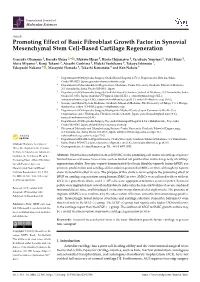 Promoting Effect of Basic Fibroblast Growth Factor in Synovial Mesenchymal Stem Cell-Based Cartilage Regeneration