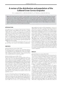 A Review of the Distribution and Population of the Collared Crow Corvus Torquatus PAUL J