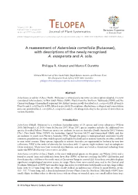 Asterolasia Correifolia (Rutaceae), with Descriptions of the Newly Recognised A