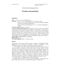 Data Sheet on Erwinia Chrysanthemi