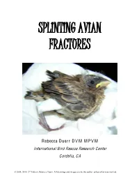 Splinting Avian Fractures