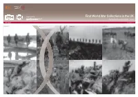 First World War Collections in the UK a Preliminary Horizon-Scan
