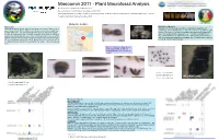 Plant Macrofossil Analysis