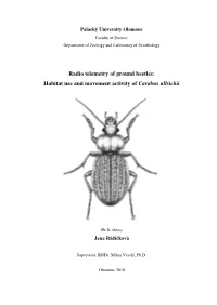 Radio Telemetry of Ground Beetles: Habitat Use and Movement Activity of Carabus Ullrichii