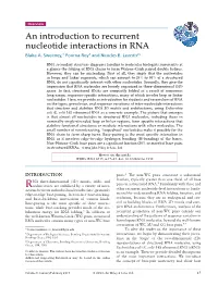 An Introduction to Recurrent Nucleotide Interactions in RNA Blake A
