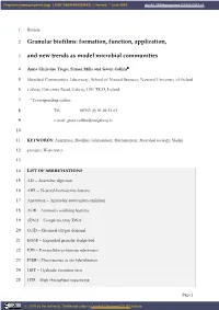 Granular Biofilms: Formation, Function, Application